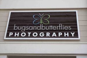 Bugs+Butterflies